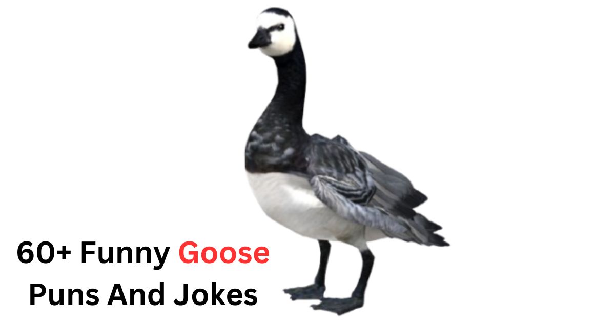 60+ Funny Goose Puns And Jokes: Quack Your Way to Laughter