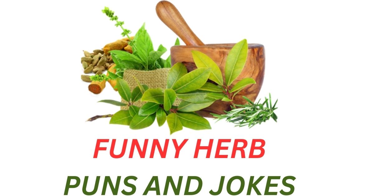 110+ Funny Herb Puns and Jokes: Thyme for Laughs