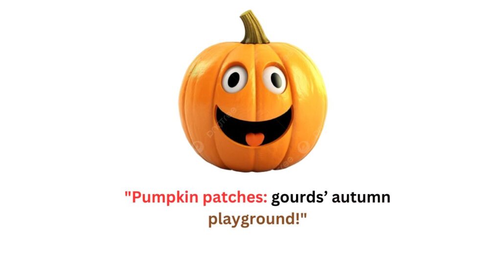 Pumpkin Patch Puns