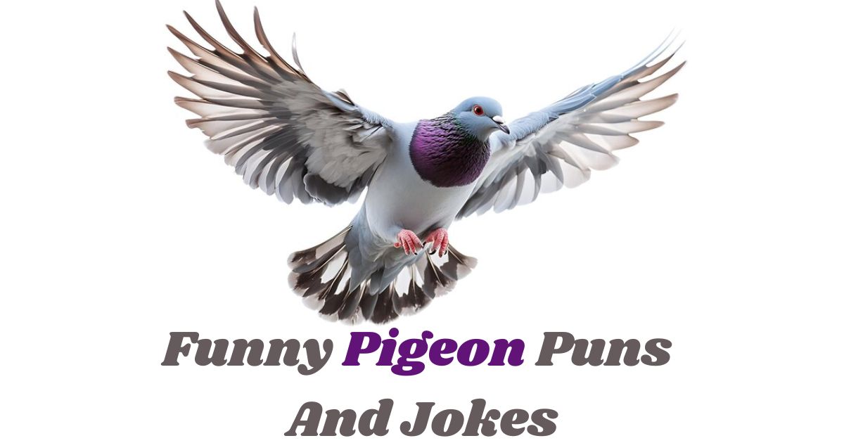 170+ Funny Pigeon Puns Jokes: Coo-tastic Comedy