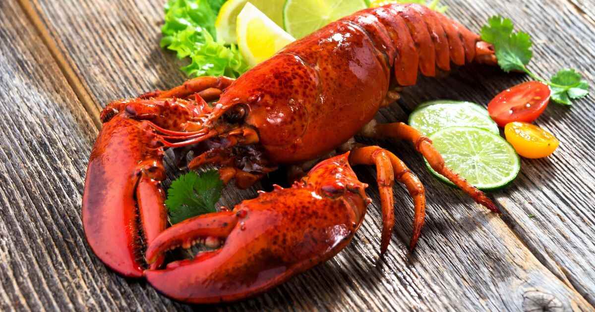 Lobster Puns That Will Have You Cracking Up