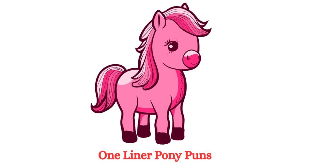 One Liner Pony Puns That Will Make You Laugh