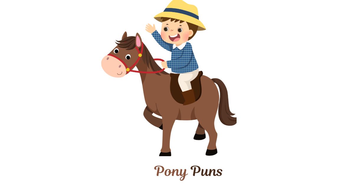 Pony Puns to Trot Your Way to Laughter and Fun
